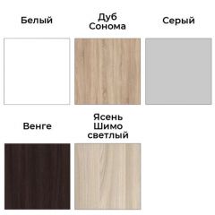 Шкаф-купе ХИТ-У-L-24-64-55 | фото 4