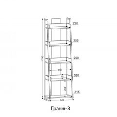 ГРАНЖ-3 Этажерка | фото 2